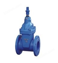 埋地式暗桿彈性座封閘閥-上海鐵王閥門