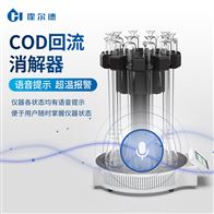 HD-W110XCOD回流消解器