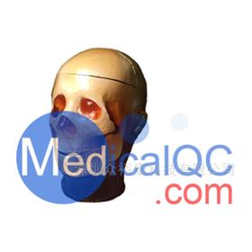 True phantom多功能頭部模體