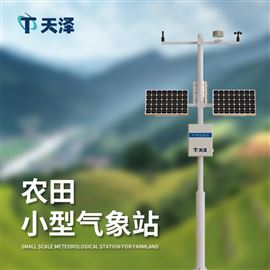TZ-NQ12高标准农田气象站