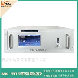 NK-300空分露點儀