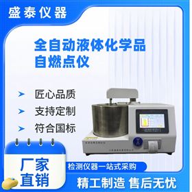 GB/T 21860液體化學(xué)品自燃溫度檢測儀