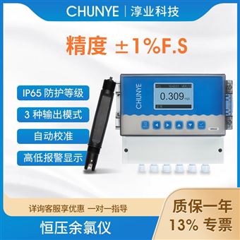 W8532在線余氯儀