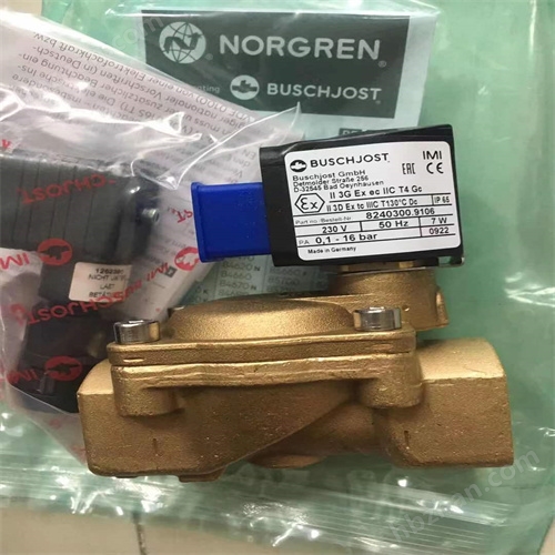 BUSCHJOST寶碩電磁閥8240600.9101.024.00