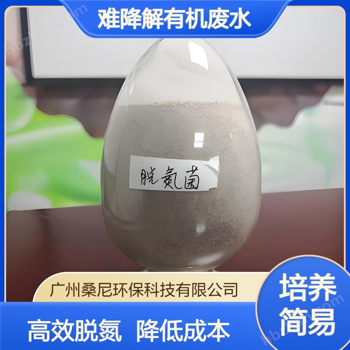 自養(yǎng)型脫氮菌