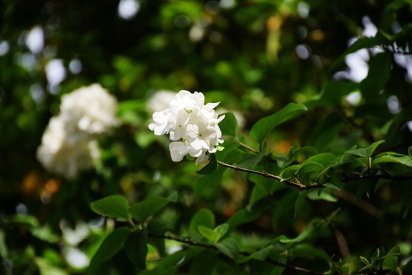 廣東省環(huán)保研究總院：變廢為寶、循環(huán)利用有“新招”