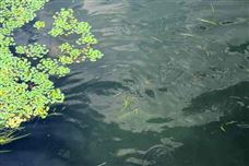 常州市召開全市污染防治攻堅推進會