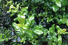 關(guān)于《湖北碳排放權(quán)交易試點(diǎn)市場(chǎng)擴(kuò)容工作方案》的政策解讀