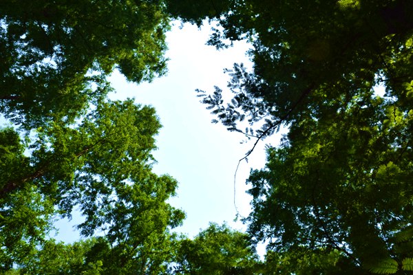 錨定綠智高端，共赴涂裝盛舉2025工業(yè)涂裝表面處理行業(yè)年會耀動重慶