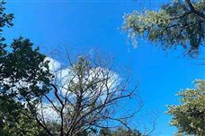 重慶市“十五五”規(guī)劃建議出爐 著力推進(jìn)全面綠色低碳轉(zhuǎn)型發(fā)展