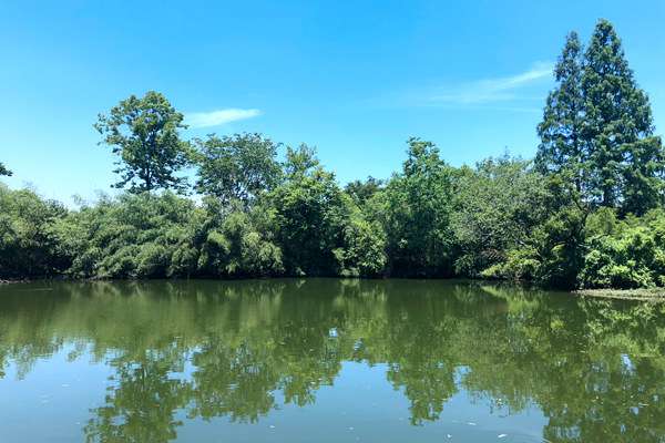 住建部科技與產(chǎn)業(yè)化發(fā)展中心發(fā)布通知 征集城鎮(zhèn)污水綠色低碳先進適用技術(shù)產(chǎn)品