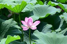 生態(tài)環(huán)境部2026年1月例行新聞發(fā)布會(huì)最新情況通報(bào)