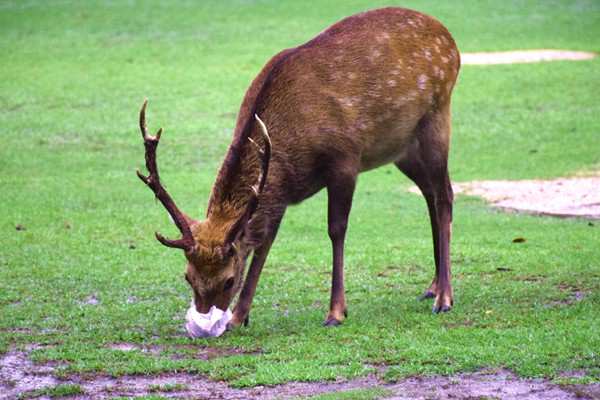 湖北省2026年度清潔生產(chǎn)審核重點企業(yè)名單發(fā)布