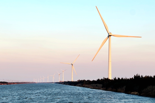 《日照市阳光海岸生态保护条例》5月1日起施行！