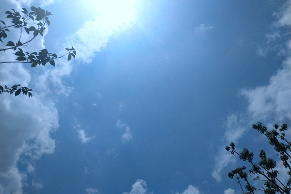 1418元/吨!中节能象山飞灰资源化利用处置服务中标