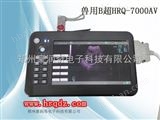 HRQ-7000AV新疆、內(nèi)蒙古供應(yīng)牛豬用羊用B超