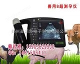 HRQ-2000AV河南鄭州獸用B超專(zhuān)賣(mài)