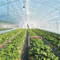 紫外殺蟲(chóng)機(jī)器人