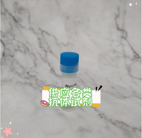 小鼠抗猴IgG單克隆抗體 特異性