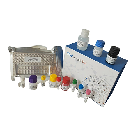 ELISA检测试剂盒 上海通蔚生物ELISA检测试剂盒精巧礼物赠送