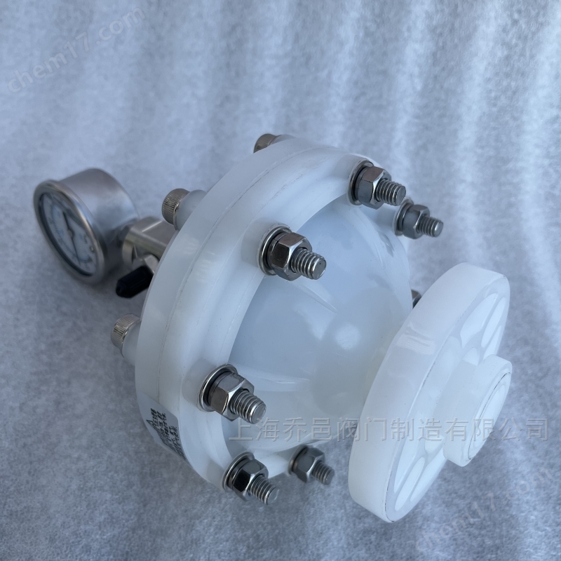 LGMZ-V0.35L膜片式脉冲阻尼器PVDF LGMZ-V0.35L膜片式脉冲阻尼器PVDF