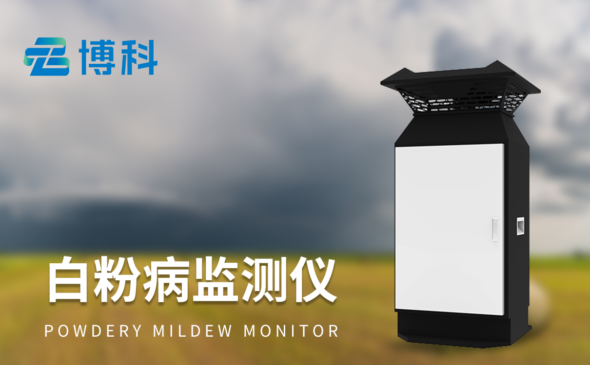 小麦白粉病监测设备 小麦白粉病监测设备