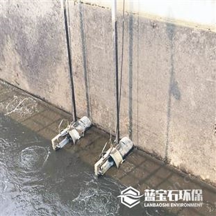 臥式潛水回流泵 硝化液循環(huán)水平軸流泵圖紙