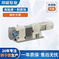 耐酸耐堿耐腐蝕可移動(dòng)式不銹鋼轉(zhuǎn)子泵廠家