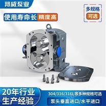 高揚(yáng)程高濃度電動(dòng)不銹鋼凸輪轉(zhuǎn)子泵廠家