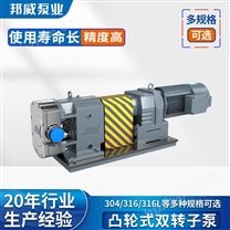 帶控制箱變頻無(wú)堵塞不銹鋼凸輪轉(zhuǎn)子泵廠家