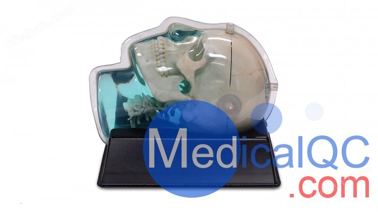 CIRS 603A头部MRI模体