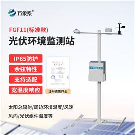 WX-FGF11光伏环境监测仪器